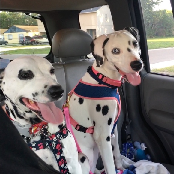 Meet your Posher, Christina - Picture 1 of 1